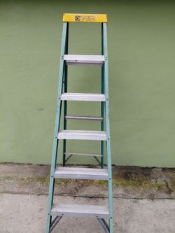 Ladder 6  feet  Davidson