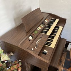 Free Electric Organ 