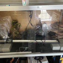 4x4x2 Bearded Dragon Tank