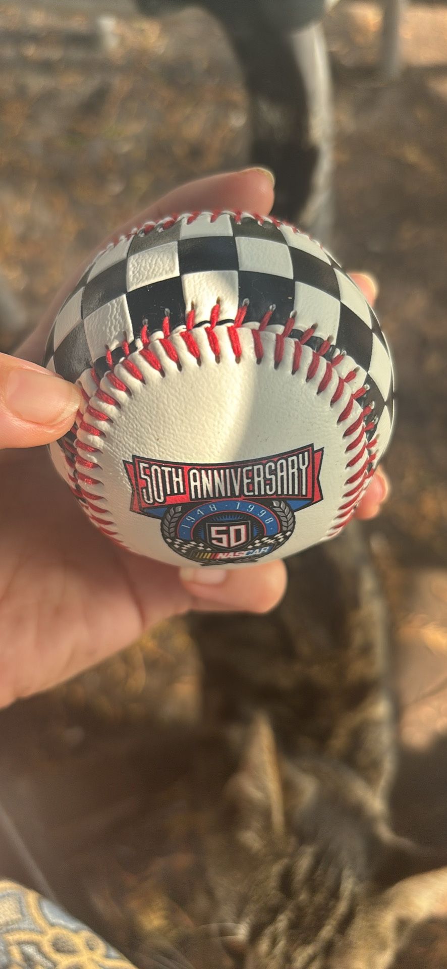 NASCAR baseball