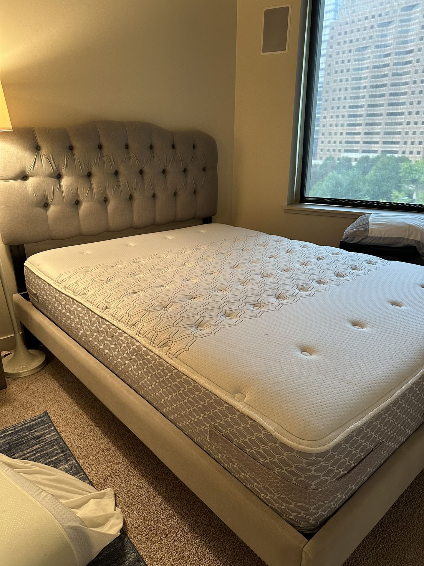 Bed Frame & Sealy Mattress