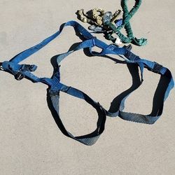 Safety Harness 