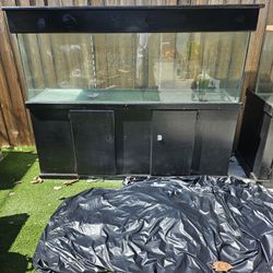 Fish Tanks 