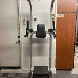 Pull Up And Dip exercise station