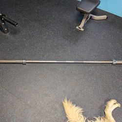 Olympic Bar (7ft)