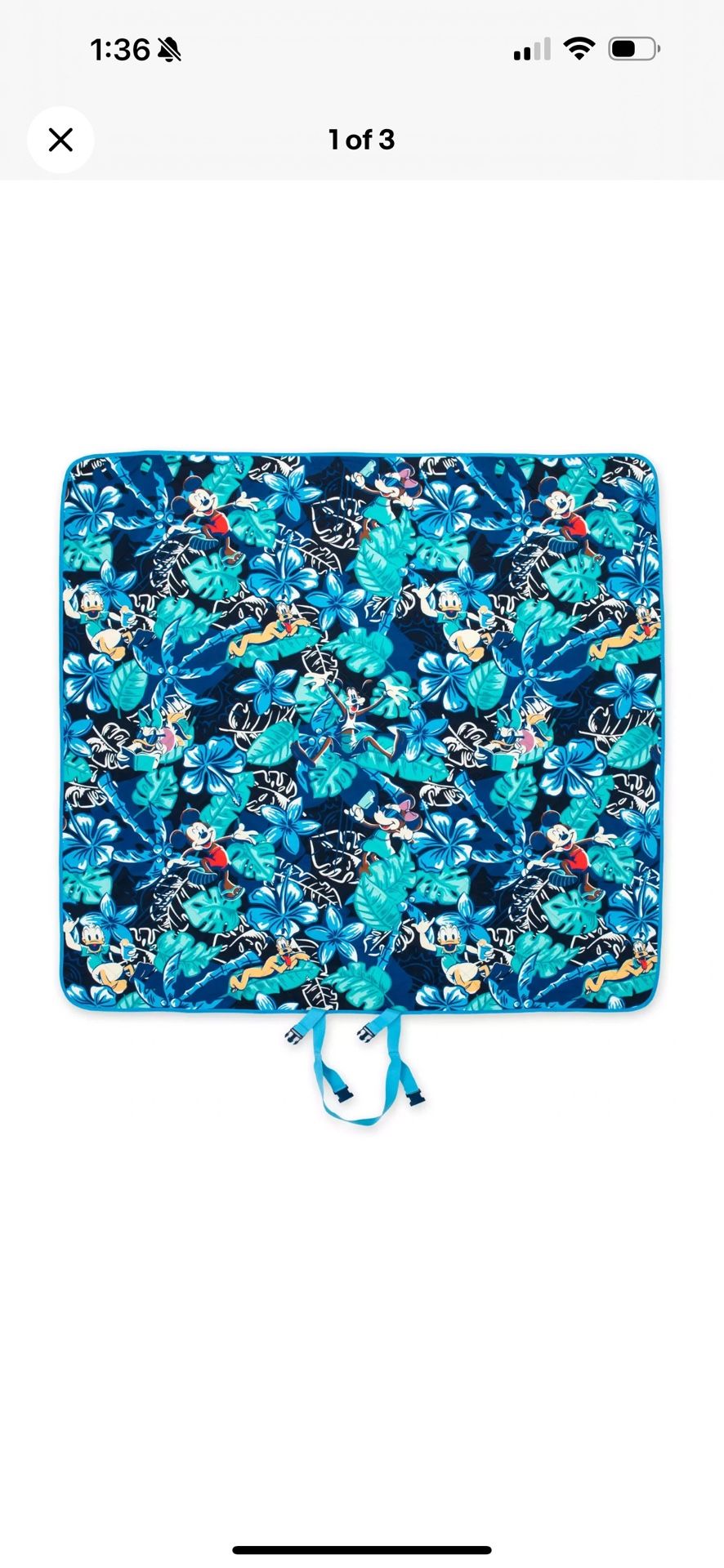 Disney 2025 Mickey and Friends Picnic Blanket