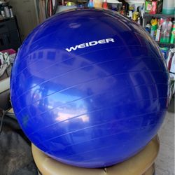 24” Weilder Yoga Ball