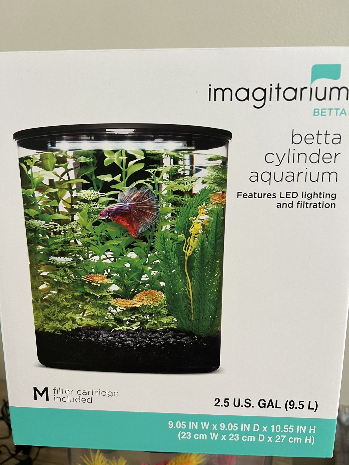 Betta Cylinder Aquarium