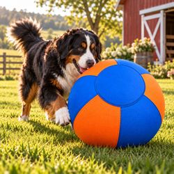 Large Dog Play Ball Blue and Orange