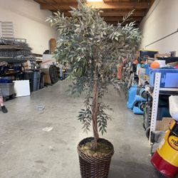 Decorative Tree 
