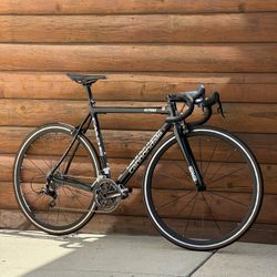 🩶🩶 CANNONDALE CAAD5 🩶🩶 ENVE FORK 