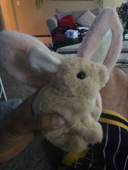 Toy bunny and ears