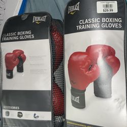 Everlast boxing gloves