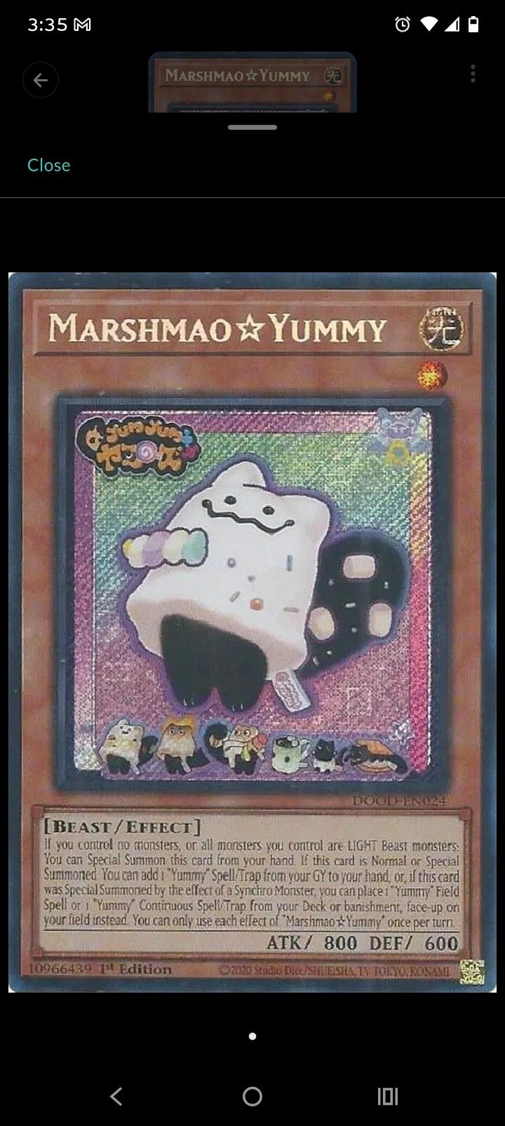 Marshmao Yummy 1st Edition 