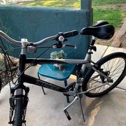 Men’s Hybrid Trek XL