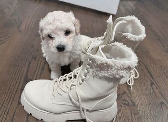 Best gift for family