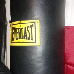 40 Lbs Everlast Punching Bag