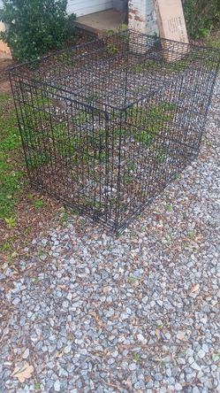 Petco Large Dog Crate