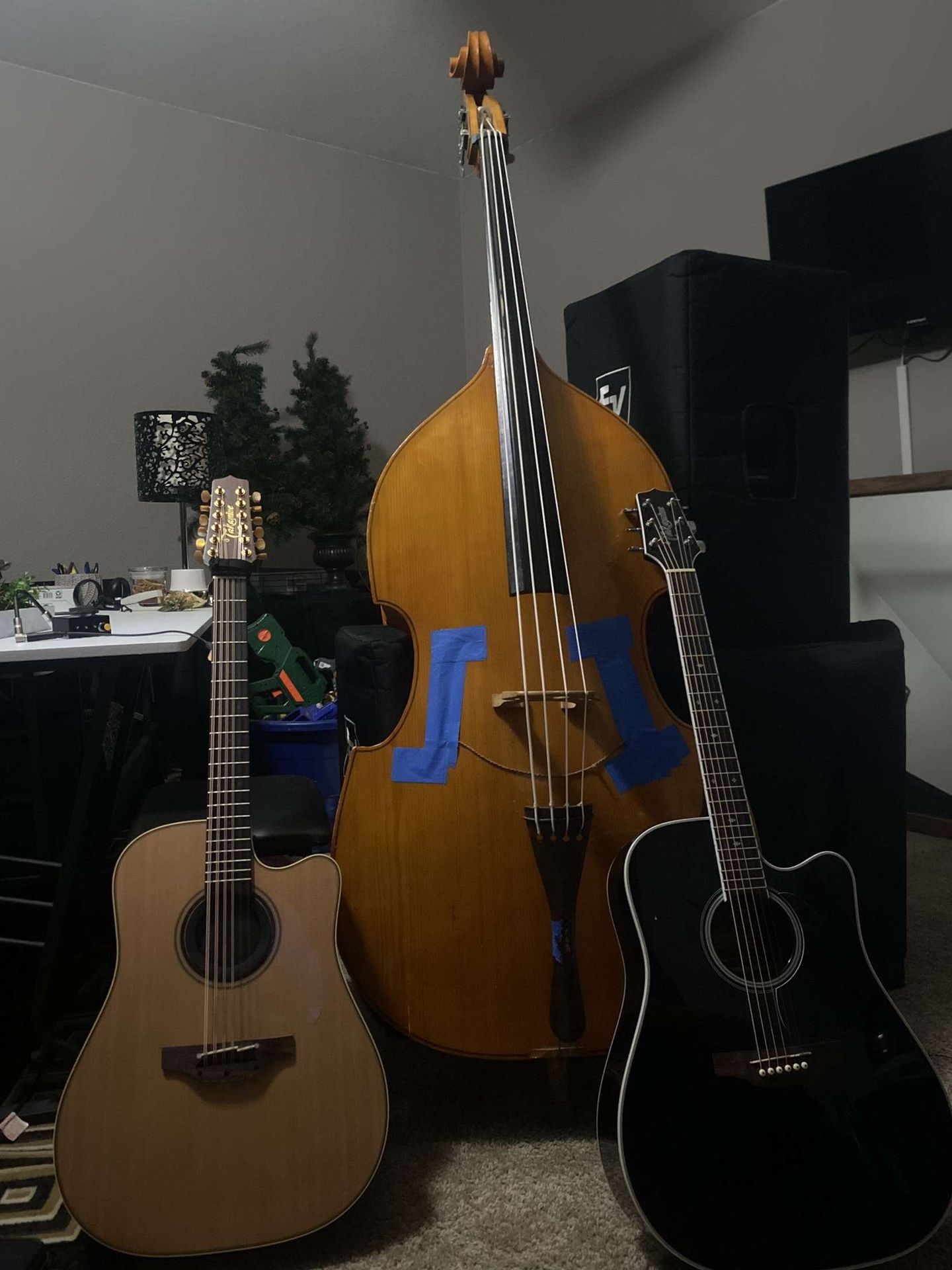TAKAMINE 12 STRING
