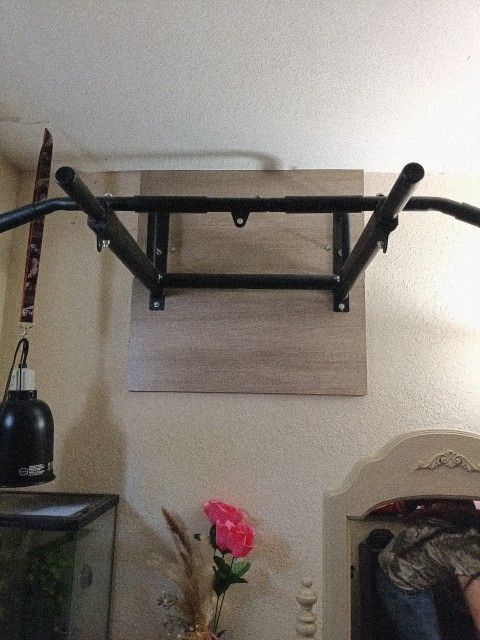Pull Up Bar