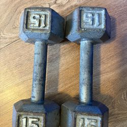 15 Lb Weights 