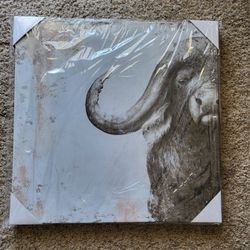Canvas Majestic Bull  20"by20"