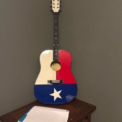 Eleca 6 sting acoustic guitar