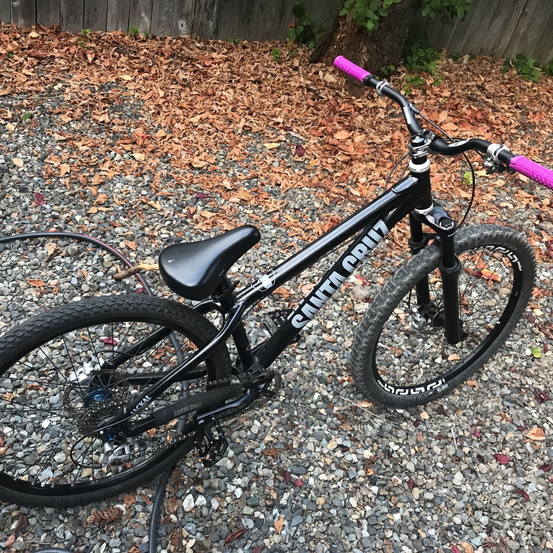 Maverick dirt jumper sale