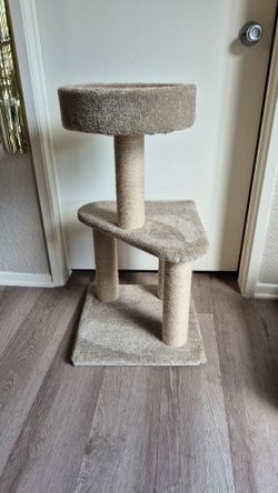 Cat post