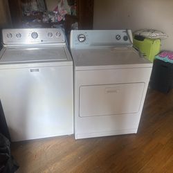 Wash and dry