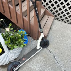 Pulse Terrain Scooter 