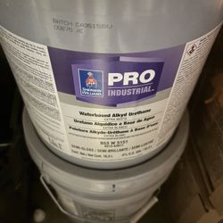 Pintura Pro Industrial 