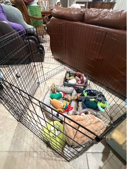 Dog Pen