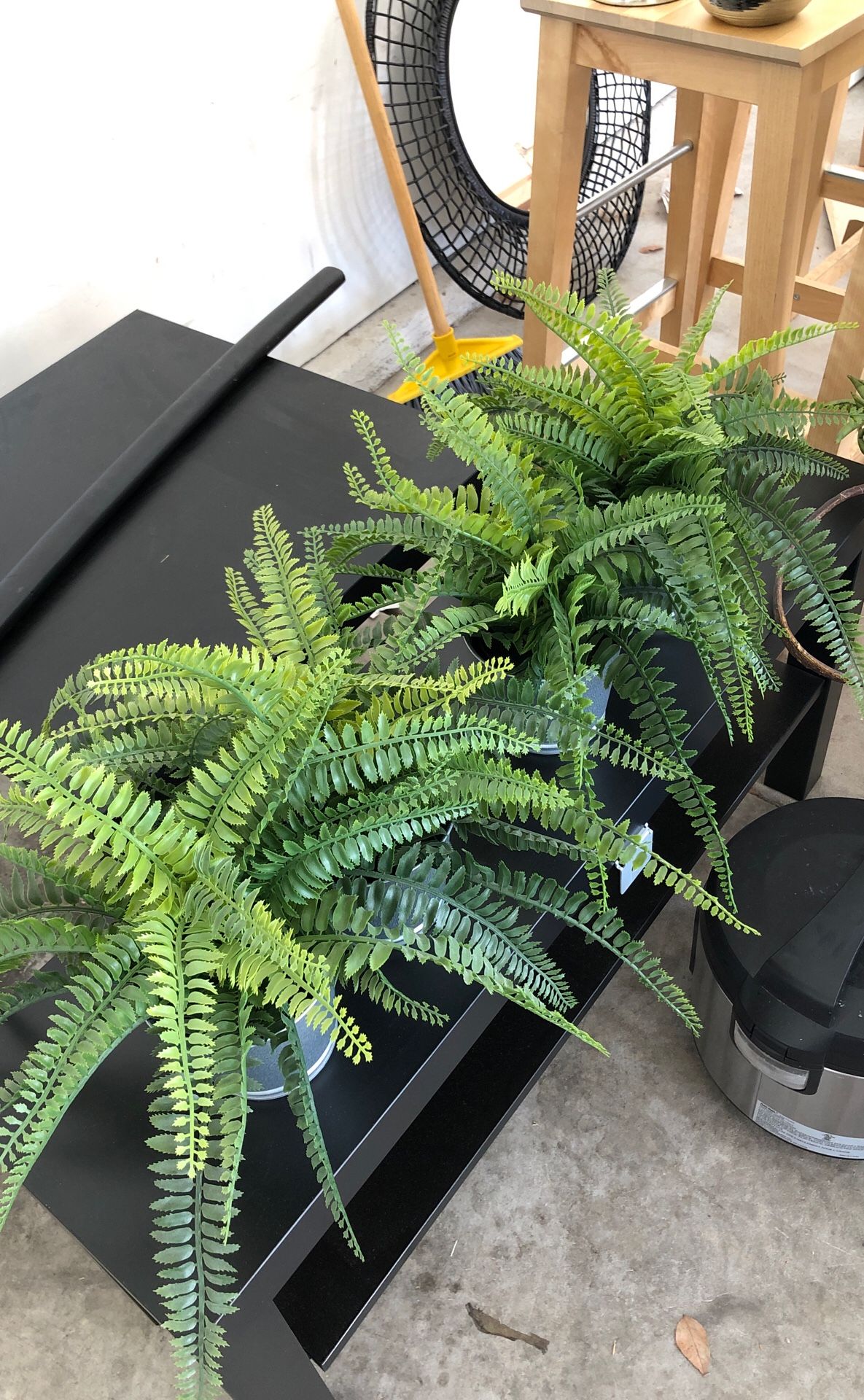 Plants (fake) $10 for ALL