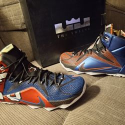 Nike LeBron 12 SE "What The LeBron?"