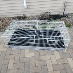 Guinea Pig Cage