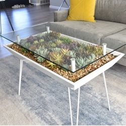 BloomingTables Wood Glass Coffee Table Grow Plants Succulents Herbs Cactus Living Room Office Design Your Own Garden