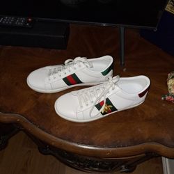 Gucci Shoes 