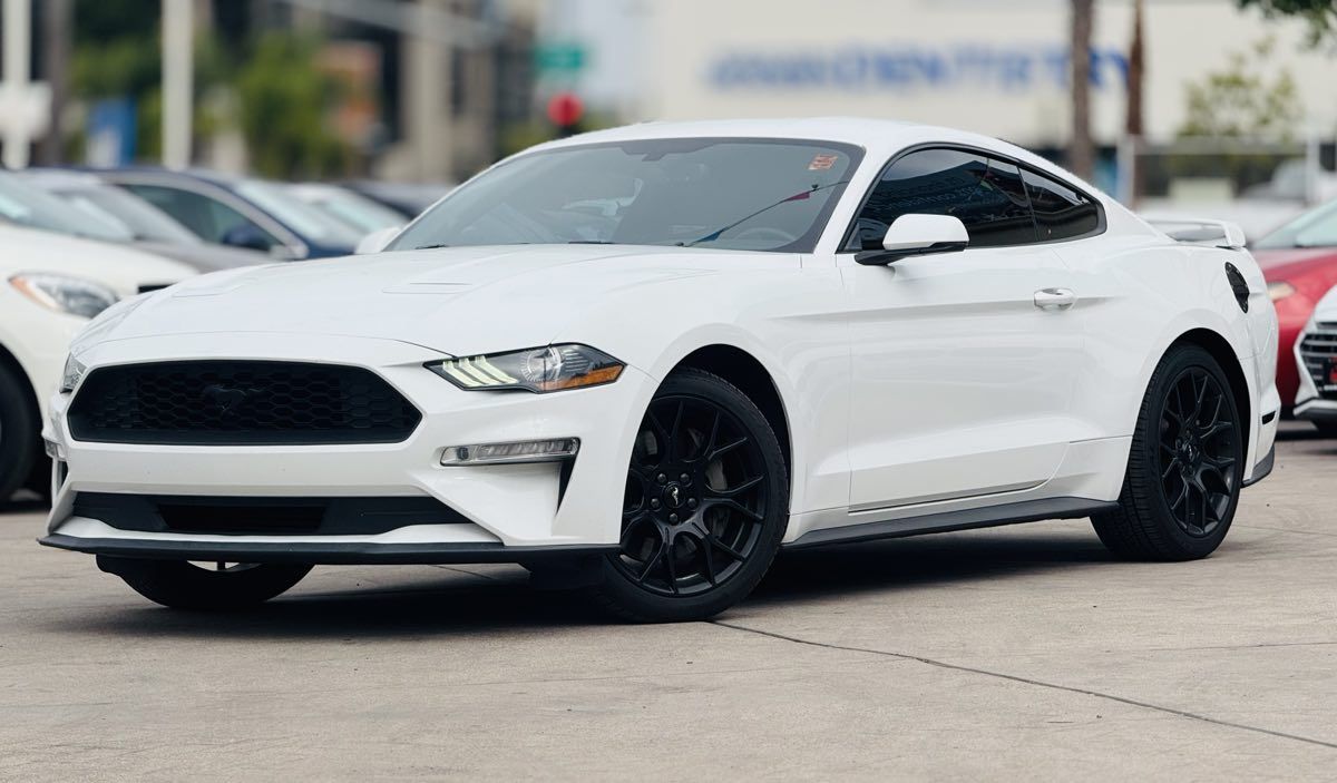 2019 Ford Mustang