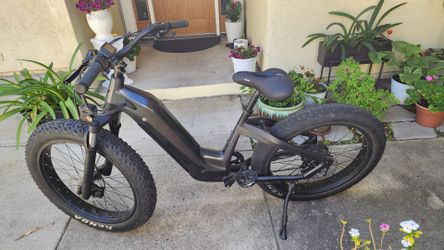 Velowave Grace Ebike