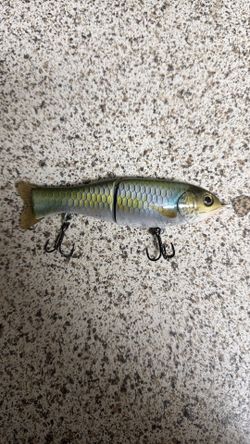 Gracely shat swimbait