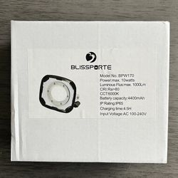 Blissporte : Rechargeable LED Work Lamp 10w/1000Lm Brightness  SEOUL Chip Work Lighting Built-in Battery 4400mAh Rechargeable Portable Floodlight IP65