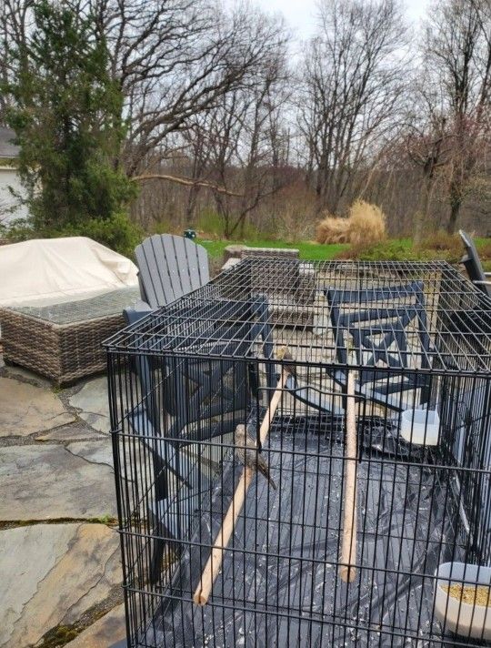 2 Bird Cages Avail Great Price!