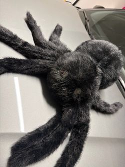 Large plush spider