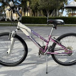 24” Schwinn Bicycle
