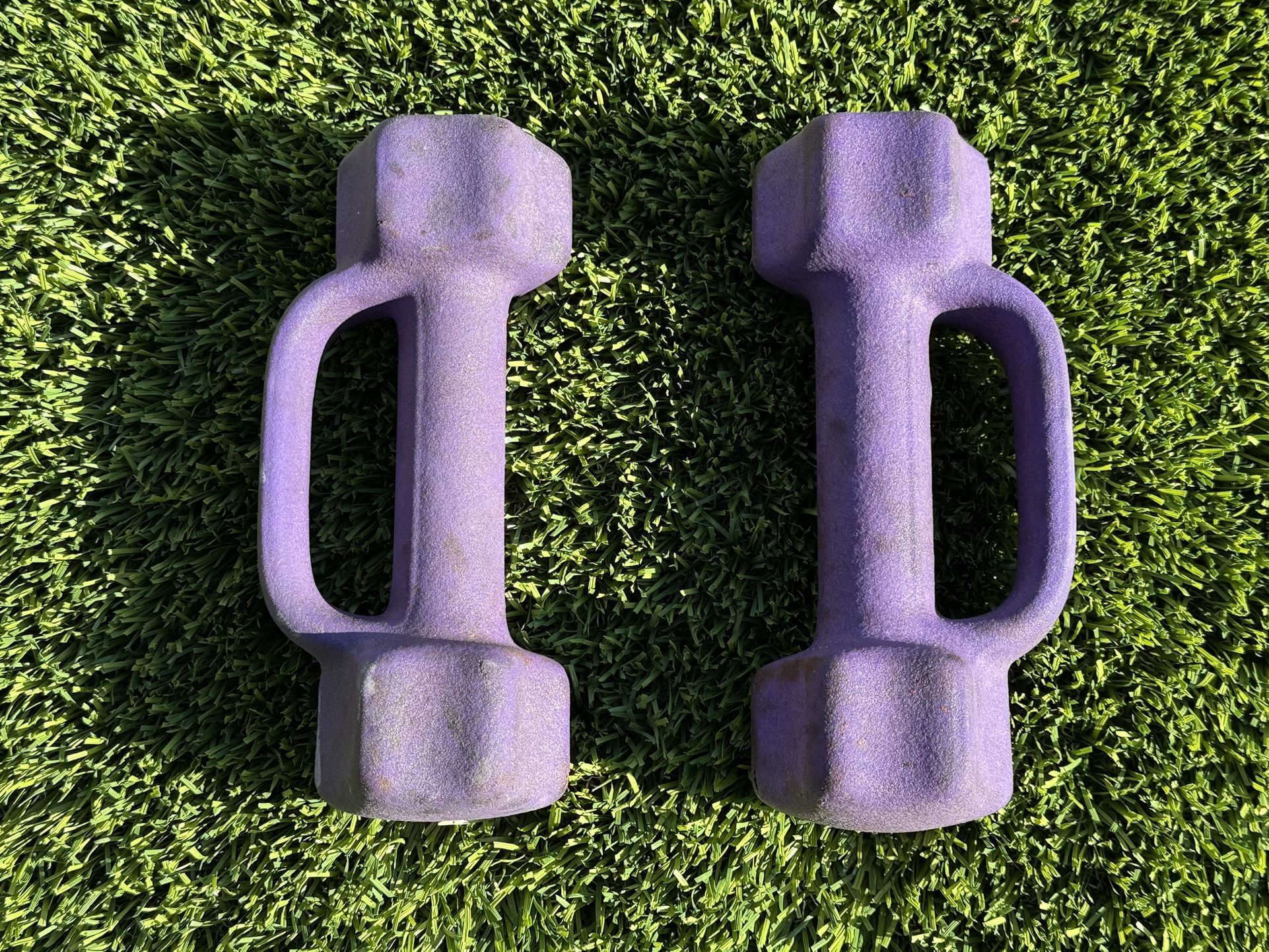 5 lb Purple Dumbbells (pair)