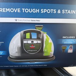 bissell carpet and upholstery little green