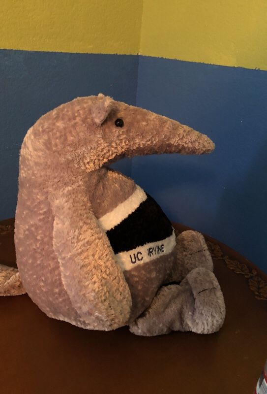 UCI UC Irvine Anteater Plush Stuffed Animal Mascot for Sale in Buena Park CA OfferUp