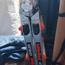 Little Giant Leveler Ladder