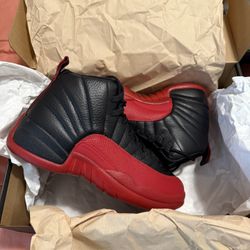 Jordan 12 Flu Game